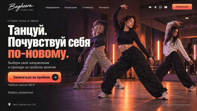 Багира — предложенный дизайн